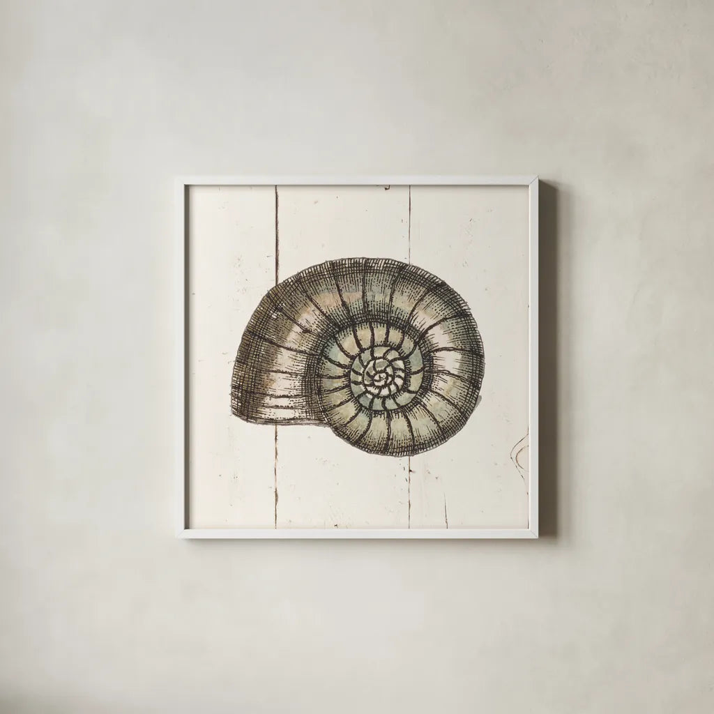 Shell Sketches I Shiplap by Wild Apple Portfolio. Shown in a crisp white glass frame for a clean and minimalist style. Available as an archival giclee rolled canvas, fine art paper, or poster print. SKU 36265a.