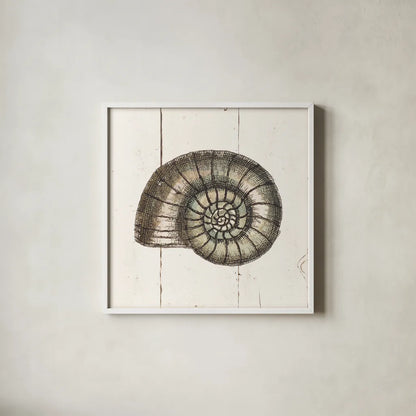 Shell Sketches I Shiplap by Wild Apple Portfolio. Shown in a crisp white glass frame for a clean and minimalist style. Available as an archival giclee rolled canvas, fine art paper, or poster print. SKU 36265a.