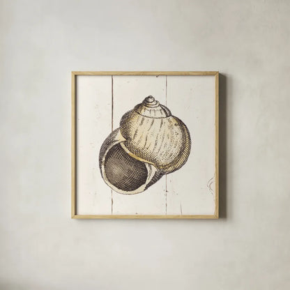 Shell Sketches II Shiplap by Wild Apple Portfolio. Shown in a natural wood glass frame for a timeless modern aesthetic. Available as an archival giclee rolled canvas, fine art paper, or poster print. SKU 36266a.