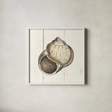 Shell Sketches II Shiplap by Wild Apple Portfolio. Shown in a crisp white glass frame for a clean and minimalist style. Available as an archival giclee rolled canvas, fine art paper, or poster print. SKU 36266a.