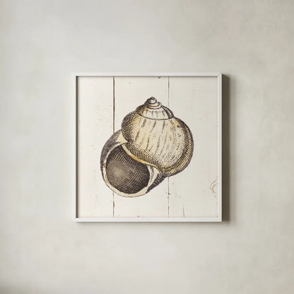 Shell Sketches II Shiplap by Wild Apple Portfolio. Shown in a crisp white glass frame for a clean and minimalist style. Available as an archival giclee rolled canvas, fine art paper, or poster print. SKU 36266a.