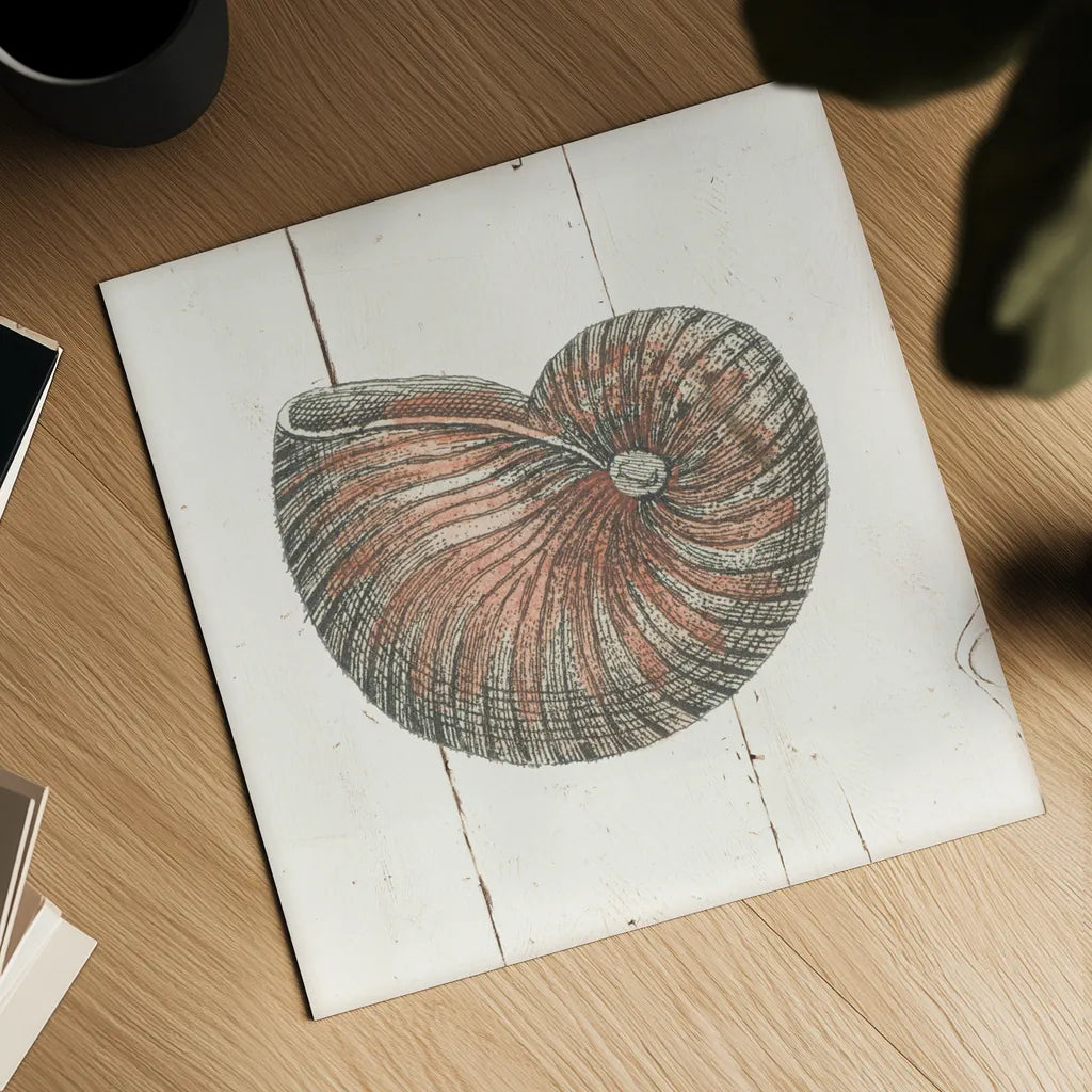 Shell Sketches III Shiplap by Wild Apple Portfolio. Shown as a detailed flat fine art print, highlighting archival giclee quality. Available as an archival giclee rolled canvas, fine art paper, or poster print. SKU 36267a.