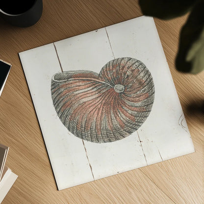 Shell Sketches III Shiplap by Wild Apple Portfolio. Shown as a detailed flat fine art print, highlighting archival giclee quality. Available as an archival giclee rolled canvas, fine art paper, or poster print. SKU 36267a.