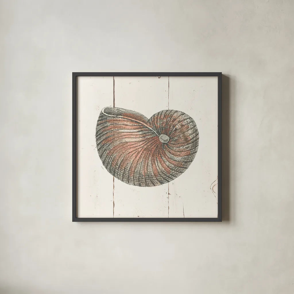 Shell Sketches III Shiplap by Wild Apple Portfolio. Shown in a sleek black glass frame for a contemporary gallery look. Available as an archival giclee rolled canvas, fine art paper, or poster print. SKU 36267a.