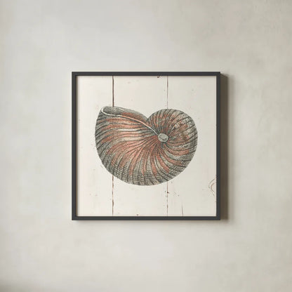 Shell Sketches III Shiplap by Wild Apple Portfolio. Shown in a sleek black glass frame for a contemporary gallery look. Available as an archival giclee rolled canvas, fine art paper, or poster print. SKU 36267a.