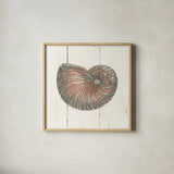 Shell Sketches III Shiplap by Wild Apple Portfolio. Shown in a natural wood glass frame for a timeless modern aesthetic. Available as an archival giclee rolled canvas, fine art paper, or poster print. SKU 36267a.