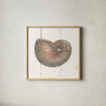 Shell Sketches III Shiplap by Wild Apple Portfolio. Shown in a natural wood glass frame for a timeless modern aesthetic. Available as an archival giclee rolled canvas, fine art paper, or poster print. SKU 36267a.