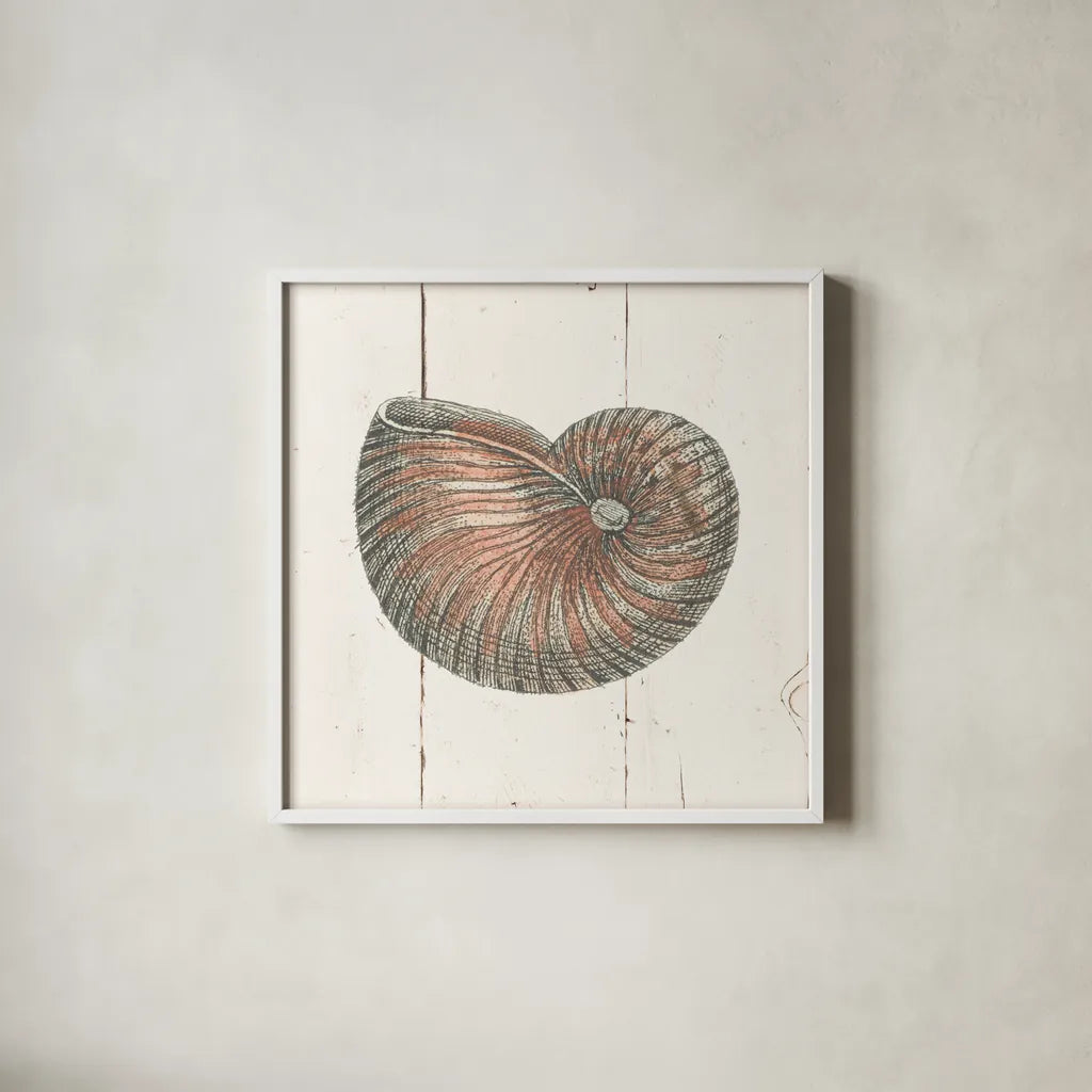 Shell Sketches III Shiplap by Wild Apple Portfolio. Shown in a crisp white glass frame for a clean and minimalist style. Available as an archival giclee rolled canvas, fine art paper, or poster print. SKU 36267a.