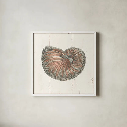 Shell Sketches III Shiplap by Wild Apple Portfolio. Shown in a crisp white glass frame for a clean and minimalist style. Available as an archival giclee rolled canvas, fine art paper, or poster print. SKU 36267a.