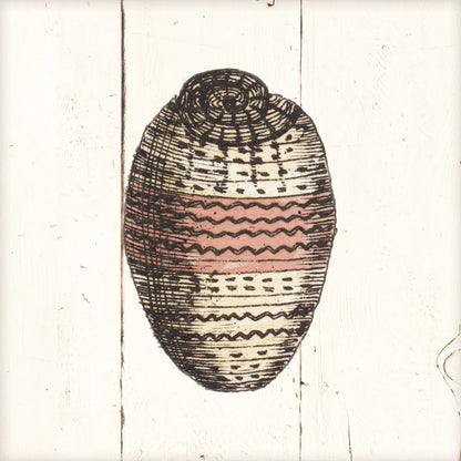 Shell Sketches IV Shiplap by Wild Apple Portfolio. SKU 36268a. Archival Giclee Fine art print for wall decor.