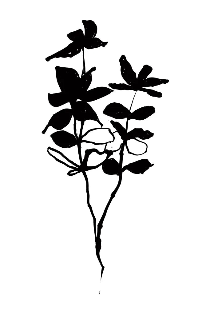 Silhouette Floral I by Wild Apple Portfolio. SKU 71331h. Archival Giclee Fine art print for wall decor.