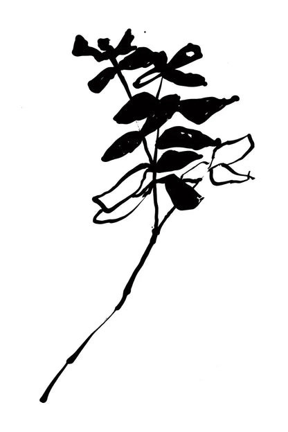 Silhouette Floral II by Wild Apple Portfolio. SKU 71332h. Archival Giclee Fine art print for wall decor.
