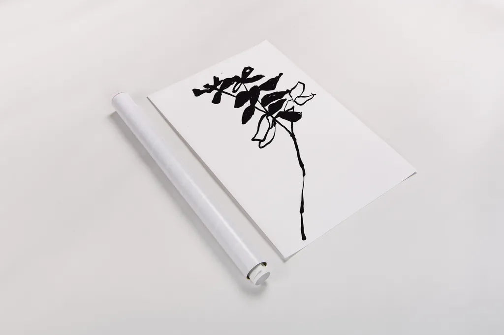Silhouette Floral II by Wild Apple Portfolio. shown as a rolled paper print. Available as archival giclee rolled canvas, fine art paper, or poster print. SKU 71332h.