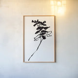 Silhouette Floral II by Wild Apple Portfolio. shown as a paper print in a natural frame. Available as a archival giclee rolled canvas, fine art paper, or poster print. SKU 71332h.