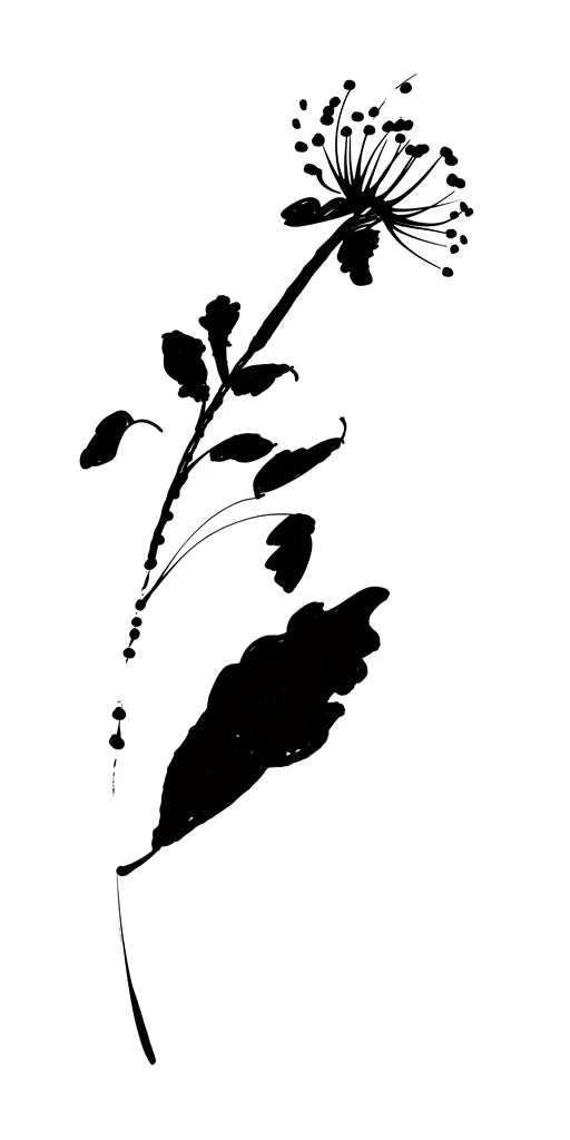 Silhouette Floral III by Wild Apple Portfolio
