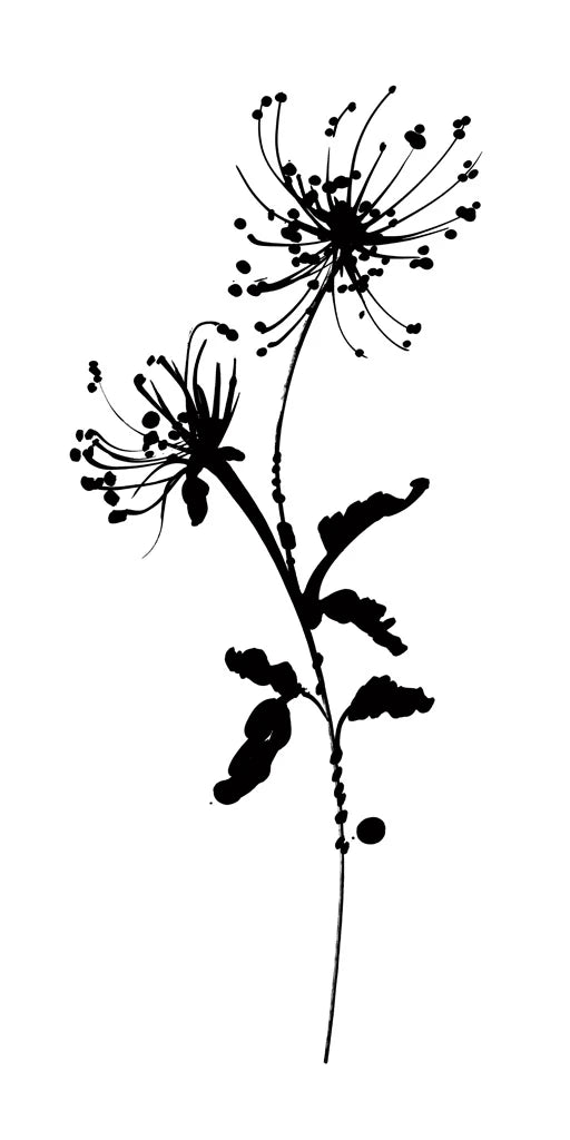 Silhouette Floral IV by Wild Apple Portfolio