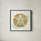 Silver Sea Life Aqua Sanddollar by Wild Apple Portfolio. Shown in a sleek black glass frame for a contemporary gallery look. Available as an archival giclee rolled canvas, fine art paper, or poster print. SKU 29850a.