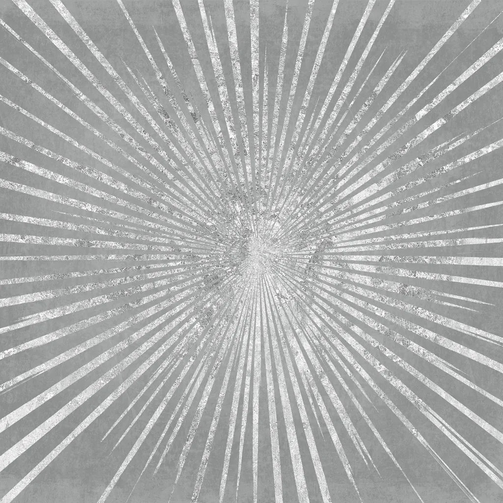 Silver Sunburst I by Wild Apple Portfolio. SKU 73126a. Archival Giclee Fine art print for wall decor.