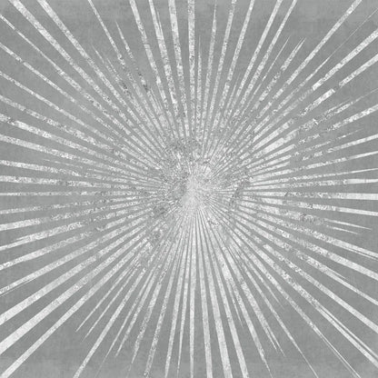 Silver Sunburst I by Wild Apple Portfolio. SKU 73126a. Archival Giclee Fine art print for wall decor.