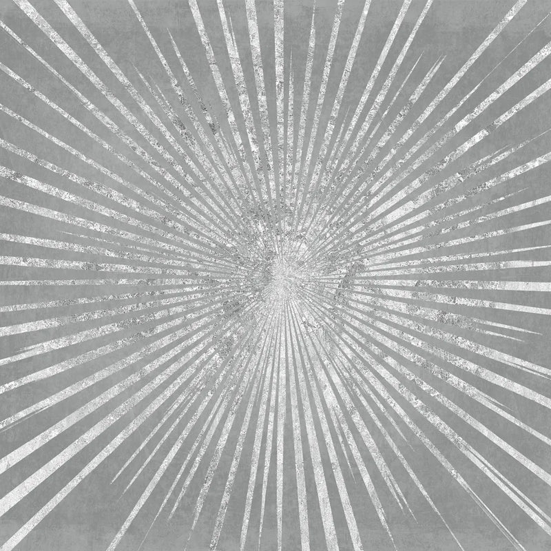 Silver Sunburst I by Wild Apple Portfolio. SKU 73126a. Archival Giclee Fine art print for wall decor.