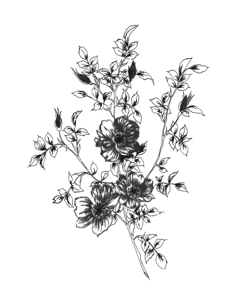 Sketchbook Flowers on White II by Wild Apple Portfolio