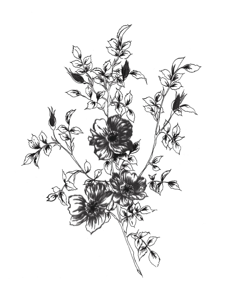 Sketchbook Flowers on White II Crop by Wild Apple Portfolio