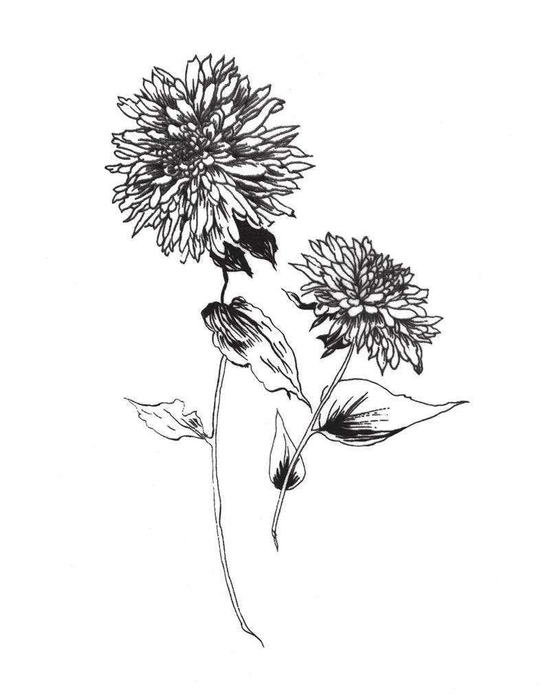Sketchbook Flowers on White IV by Wild Apple Portfolio