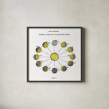 Solar Seasons by Wild Apple Portfolio. Shown in a sleek black glass frame for a contemporary gallery look. Available as an archival giclee rolled canvas, fine art paper, or poster print. SKU 64782a.