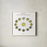 Solar Seasons by Wild Apple Portfolio. Shown in a crisp white glass frame for a clean and minimalist style. Available as an archival giclee rolled canvas, fine art paper, or poster print. SKU 64782a.