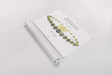 Solar Venus Chart Bright by Wild Apple Portfolio. shown as a rolled paper print. Available as archival giclee rolled canvas, fine art paper, or poster print. SKU 64783i.