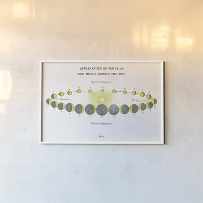 Solar Venus Chart Bright by Wild Apple Portfolio. shown as a paper print in a white frame. Available as a archival giclee rolled canvas, fine art paper, or poster print. SKU 64783i.