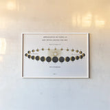 Solar Venus Chart Gold by Wild Apple Portfolio. shown as a paper print in a white frame. Available as a archival giclee rolled canvas, fine art paper, or poster print. SKU 64784i.