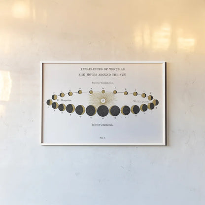 Solar Venus Chart Gold by Wild Apple Portfolio. shown as a paper print in a white frame. Available as a archival giclee rolled canvas, fine art paper, or poster print. SKU 64784i.
