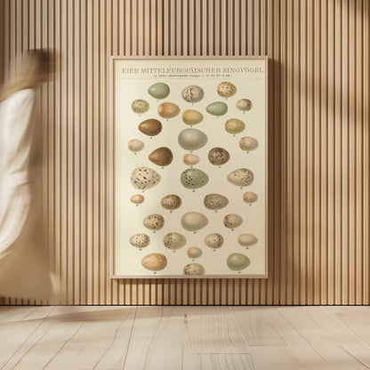 Songbird Egg Chart by Wild Apple Portfolio. shown as over sized large wall art. Available as an archival giclee rolled canvas, fine art paper, or poster print. SKU 44331h.