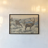 Stag in the Wild by Wild Apple Portfolio. shown as a paper print in a black flame. Available as a archival giclee rolled canvas, fine art paper, or poster print. SKU 95650i.