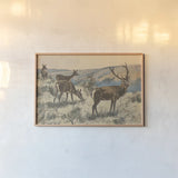 Stag in the Wild by Wild Apple Portfolio. shown as a paper print in a natural frame. Available as a archival giclee rolled canvas, fine art paper, or poster print. SKU 95650i.