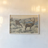 Stag in the Wild by Wild Apple Portfolio. shown as a paper print in a white frame. Available as a archival giclee rolled canvas, fine art paper, or poster print. SKU 95650i.
