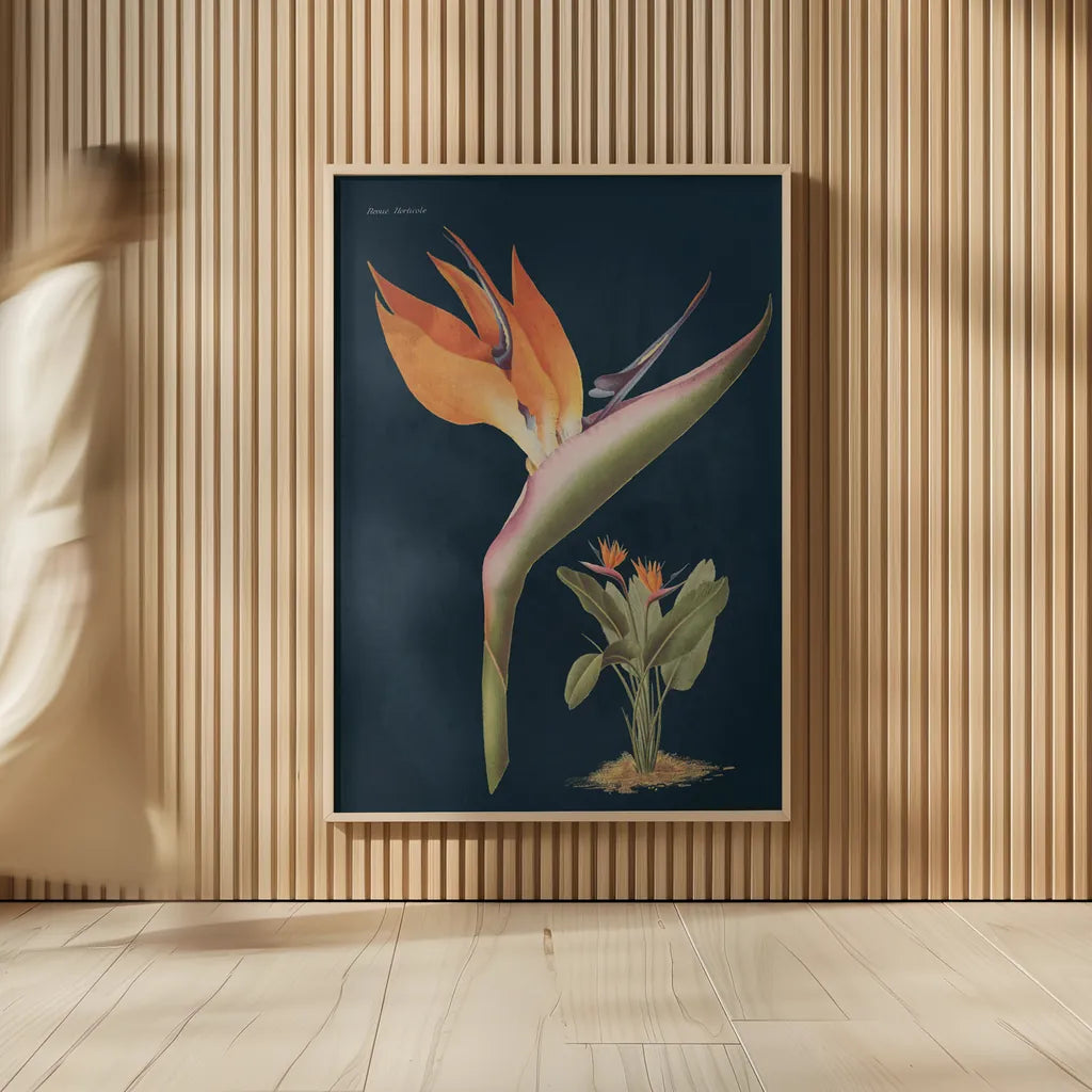 Stelitzia Reginoe Dark Blue by Wild Apple Portfolio. shown as over sized large wall art. Available as an archival giclee rolled canvas, fine art paper, or poster print. SKU 52056h.