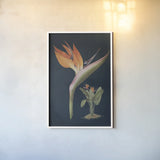 Stelitzia Reginoe Dark Blue No Words by Wild Apple Portfolio. shown as a paper print in a white frame. Available as a archival giclee rolled canvas, fine art paper, or poster print. SKU 90105h.