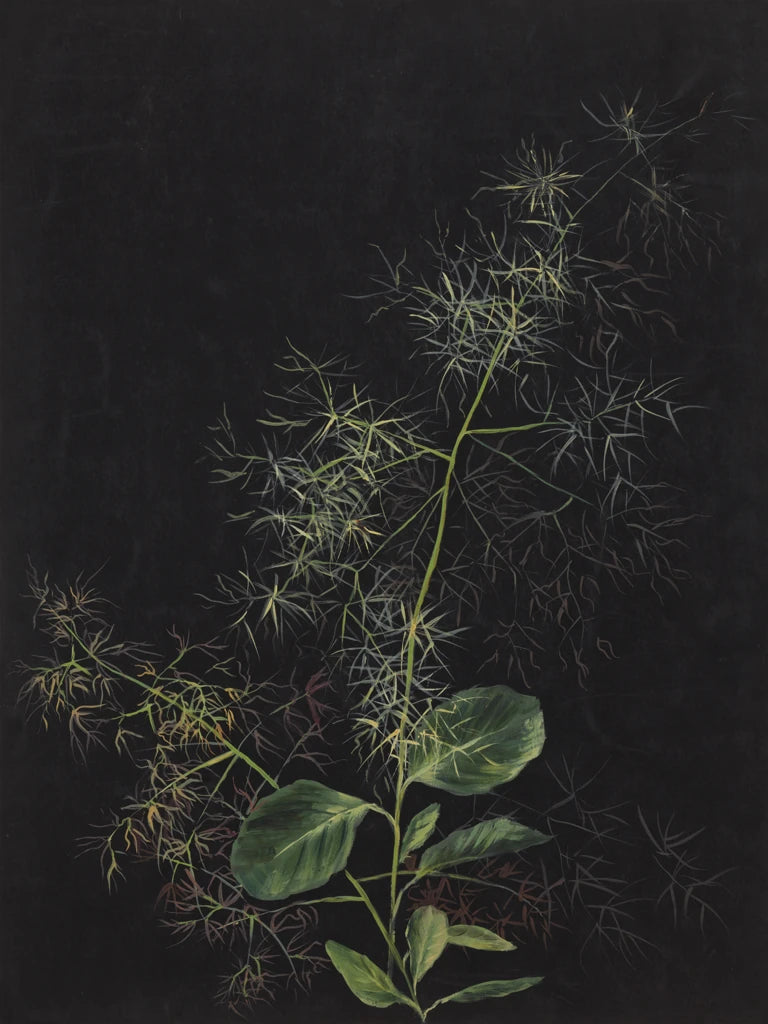 Study of Tufted Hairgrass by Wild Apple Portfolio