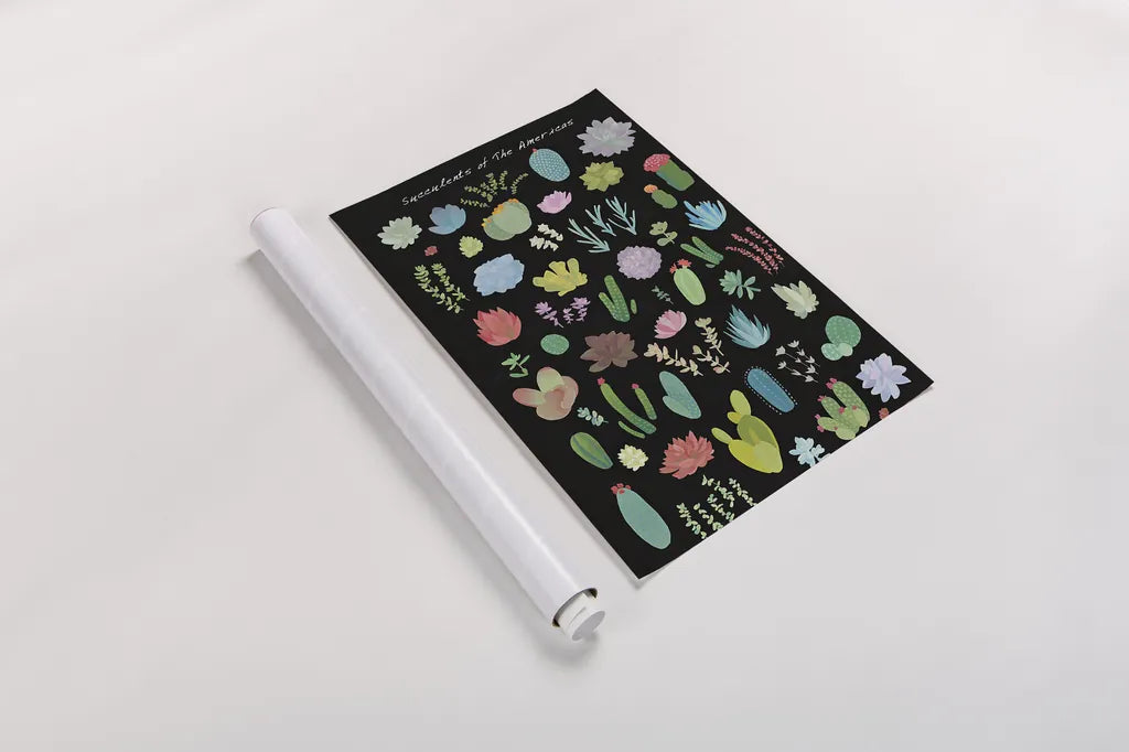 Succulent Chart I of the Americas by Wild Apple Portfolio. shown as a rolled paper print. Available as archival giclee rolled canvas, fine art paper, or poster print. SKU 33817h.