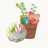Succulent Garden III by Wild Apple Portfolio. SKU 21557a. Archival Giclee Fine art print for wall decor.