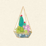 Succulent Terrarium II by Wild Apple Portfolio. SKU 18833a. Archival Giclee Fine art print for wall decor.