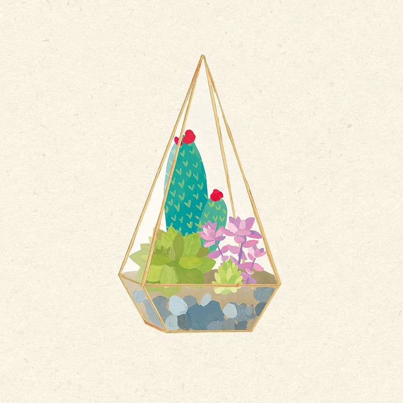 Succulent Terrarium II by Wild Apple Portfolio. SKU 18833a. Archival Giclee Fine art print for wall decor.