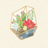 Succulent Terrarium IV by Wild Apple Portfolio. SKU 18835a. Archival Giclee Fine art print for wall decor.