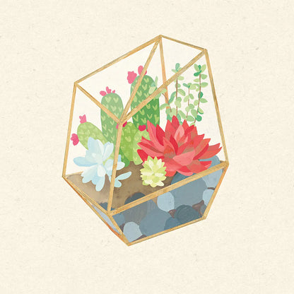 Succulent Terrarium IV by Wild Apple Portfolio. SKU 18835a. Archival Giclee Fine art print for wall decor.