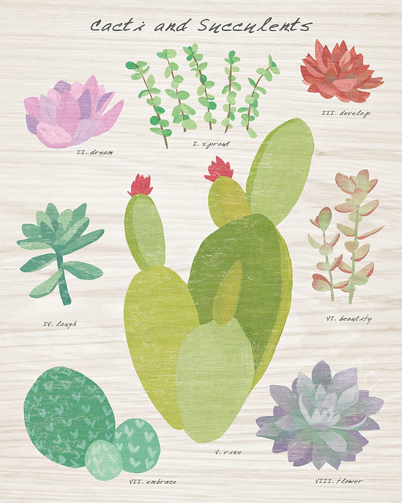 Succulent and Cacti Chart III on Wood by Wild Apple Portfolio