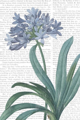 Summer Botanicals I v2 by Wild Apple Portfolio. SKU 59257h. Archival Giclee Fine art print for wall decor.