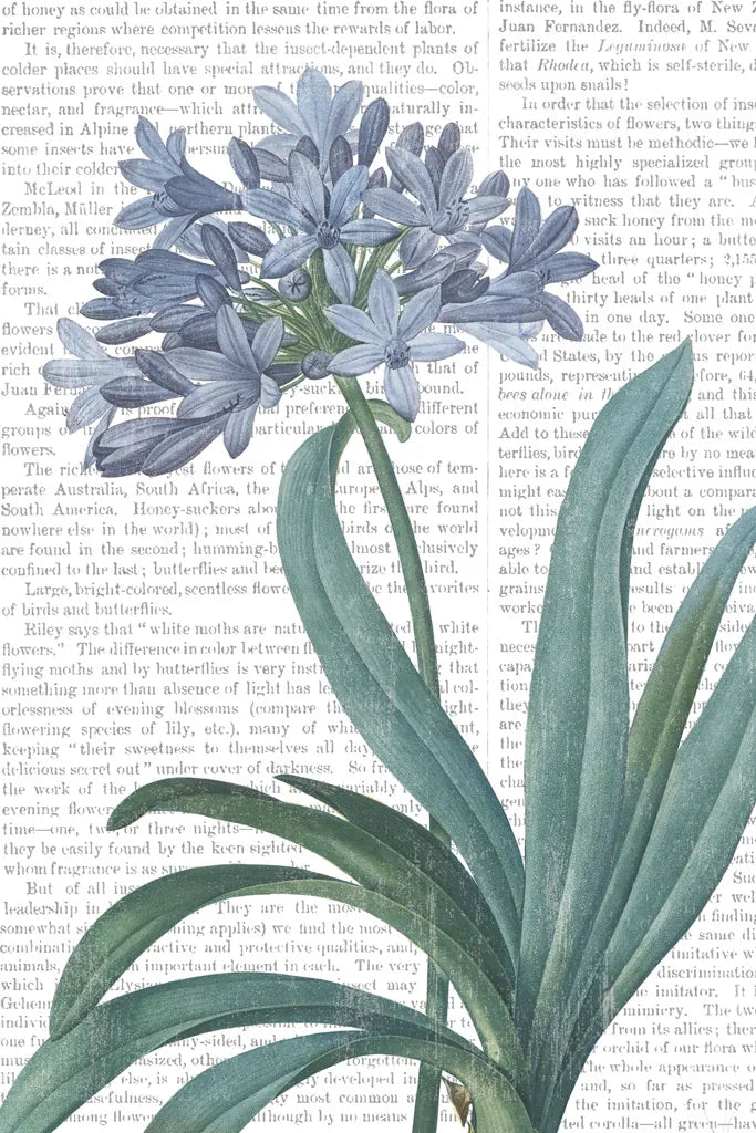 Summer Botanicals I v2 by Wild Apple Portfolio. SKU 59257h. Archival Giclee Fine art print for wall decor.