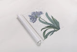 Summer Botanicals I v2 by Wild Apple Portfolio. shown as a rolled paper print. Available as archival giclee rolled canvas, fine art paper, or poster print. SKU 59257h.